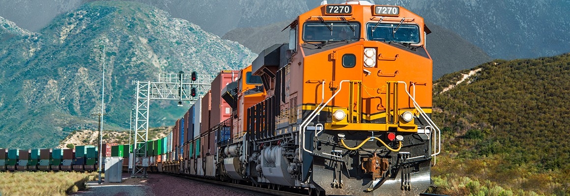 Long train with mountain scene in background.